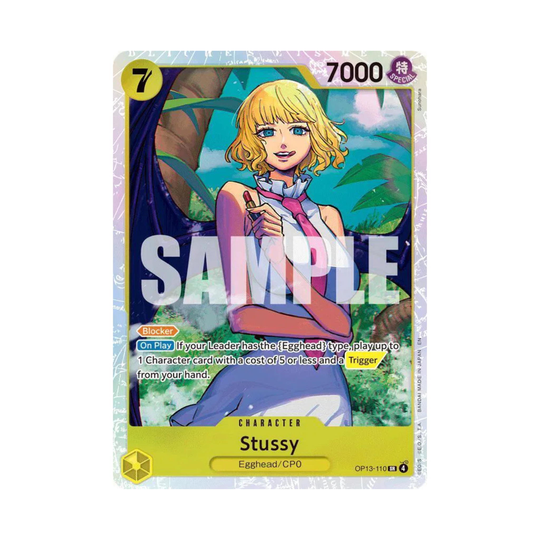 Stussy - op13-110