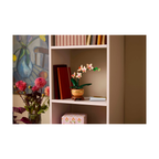 Potted LEGO Botanicals Mini Orchid with pink and white flowers displayed on a shelf alongside books and a decorative box.