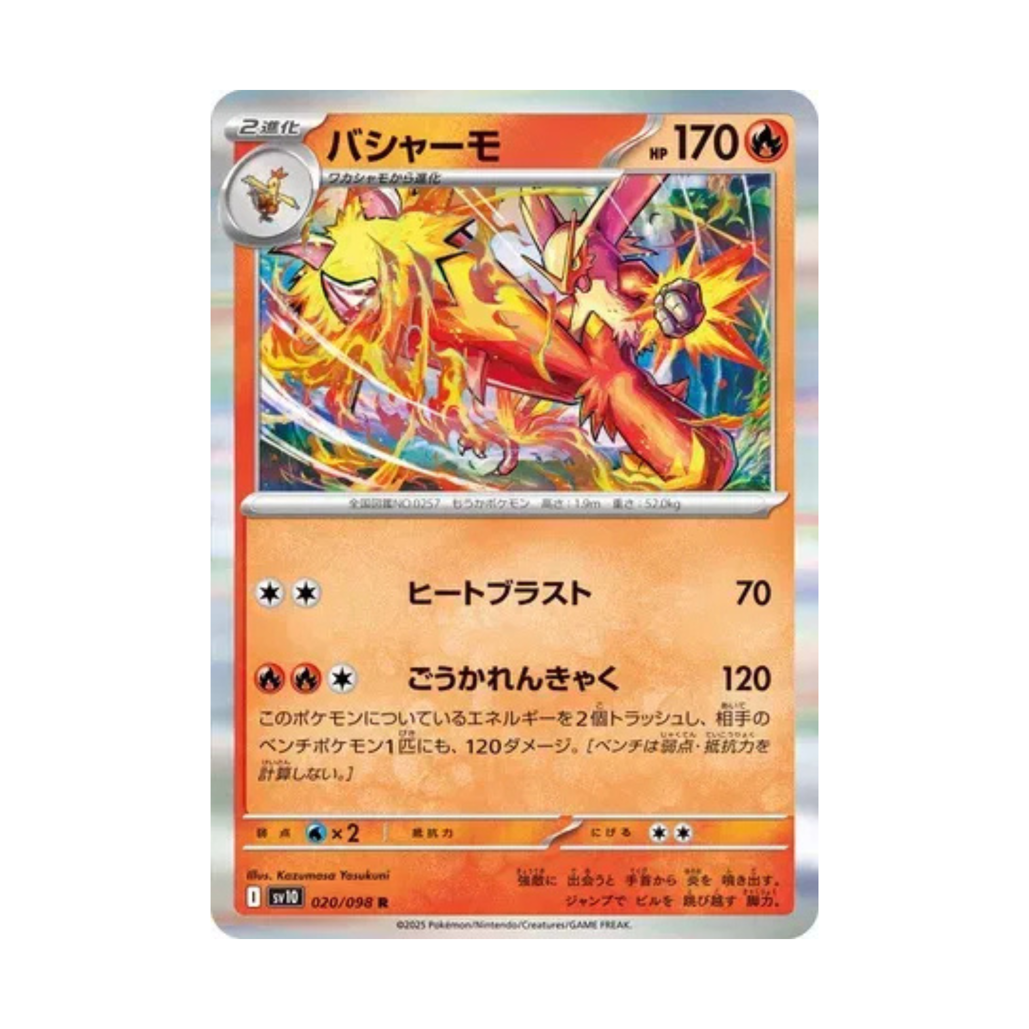 blaziken (JPN)