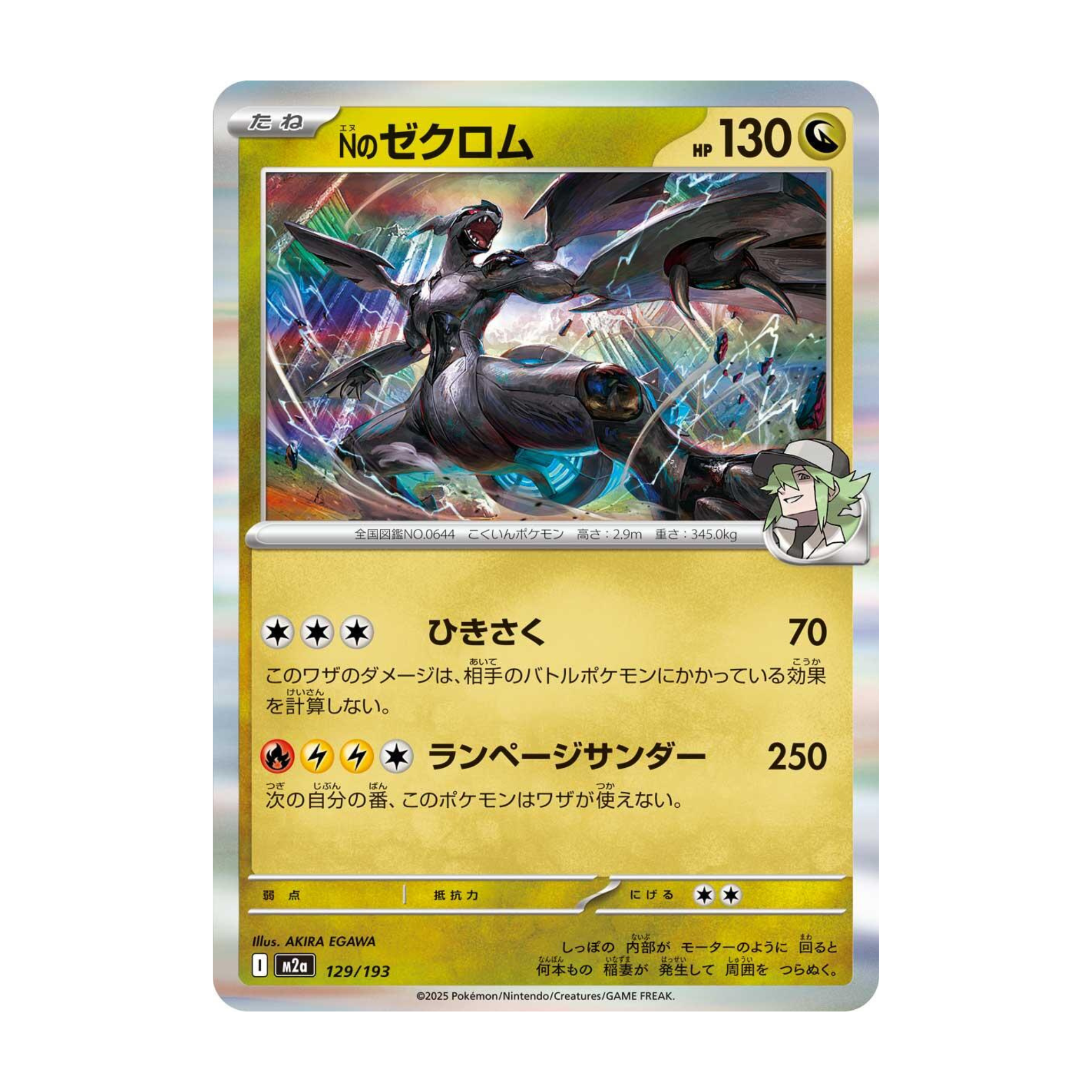 N's Zekrom (JPN)