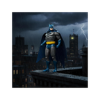 Batman DC Multiverse Action Figure