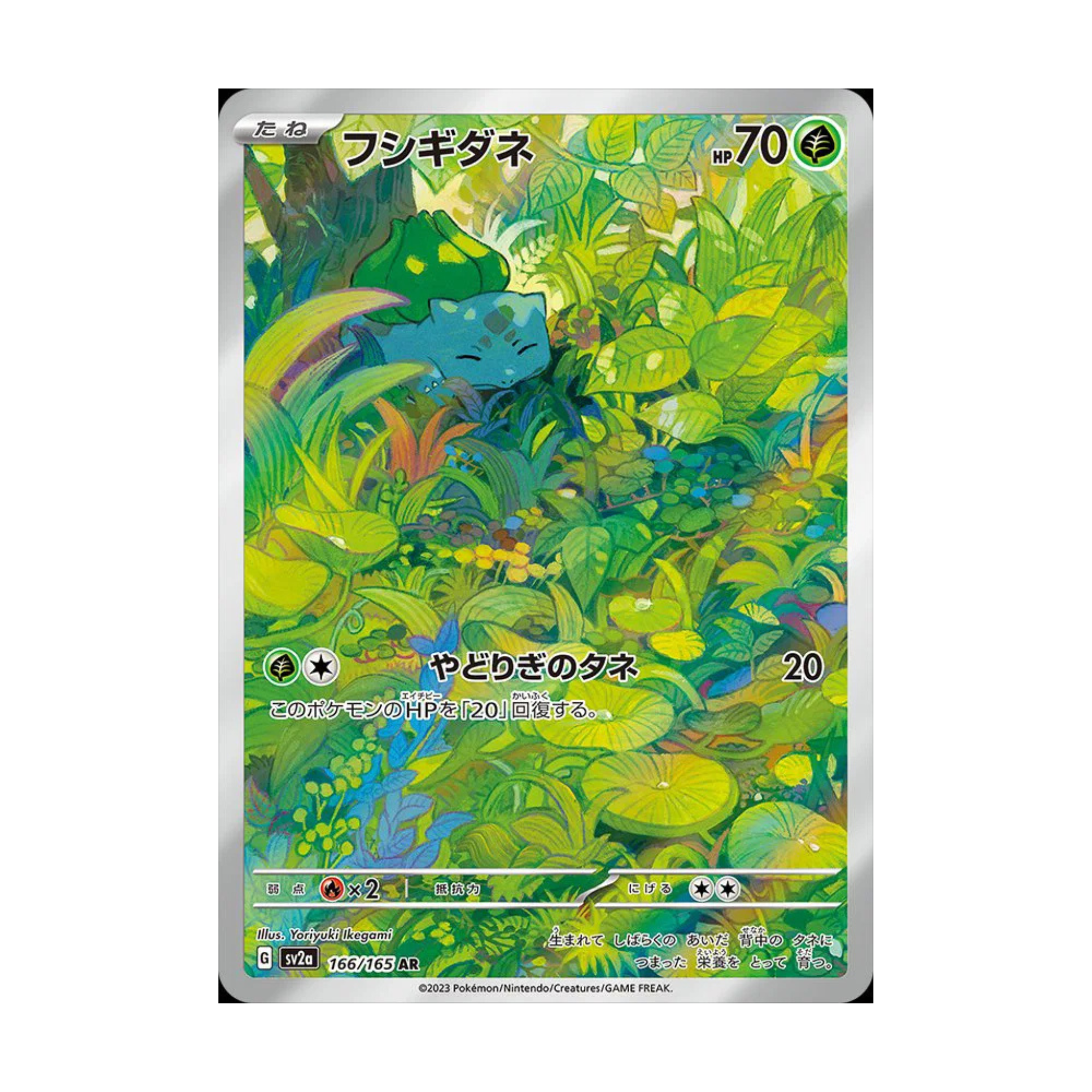 Bulbasaur Pokémon card featuring Japanese text, HP value 70, and vibrant design in lush greenery.